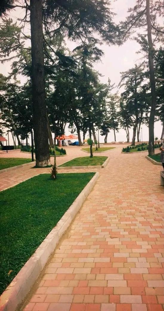 Kobuleti Rezidense view 4