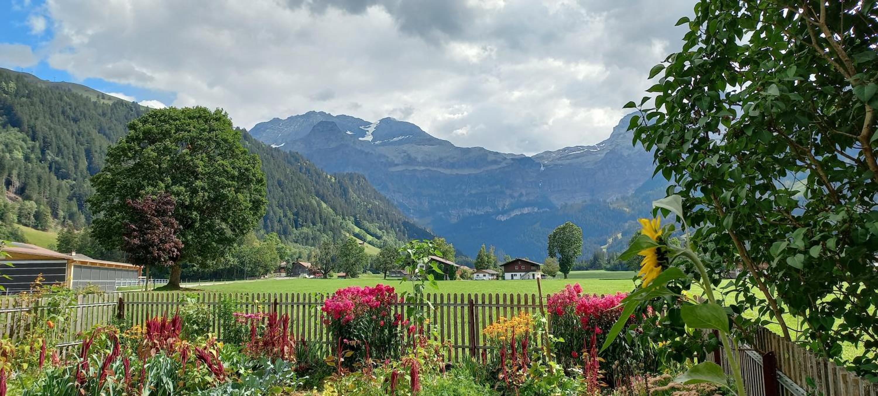 Bühlerhof view 2