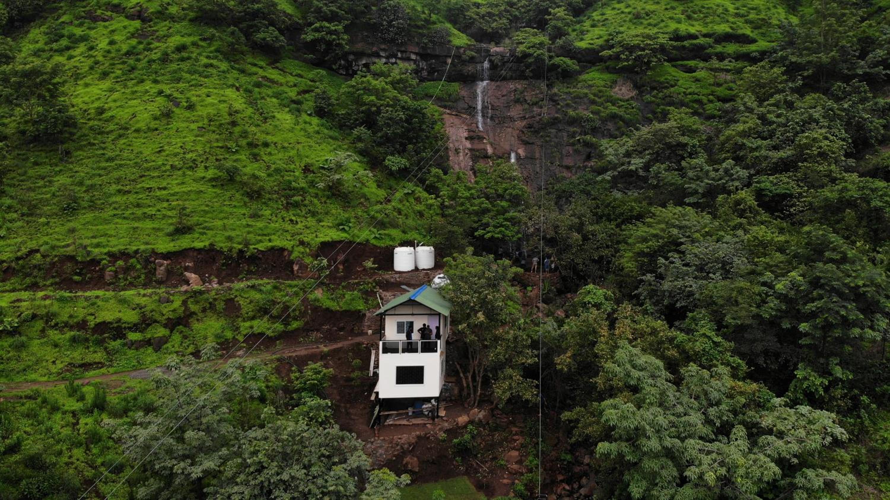 Forest Den