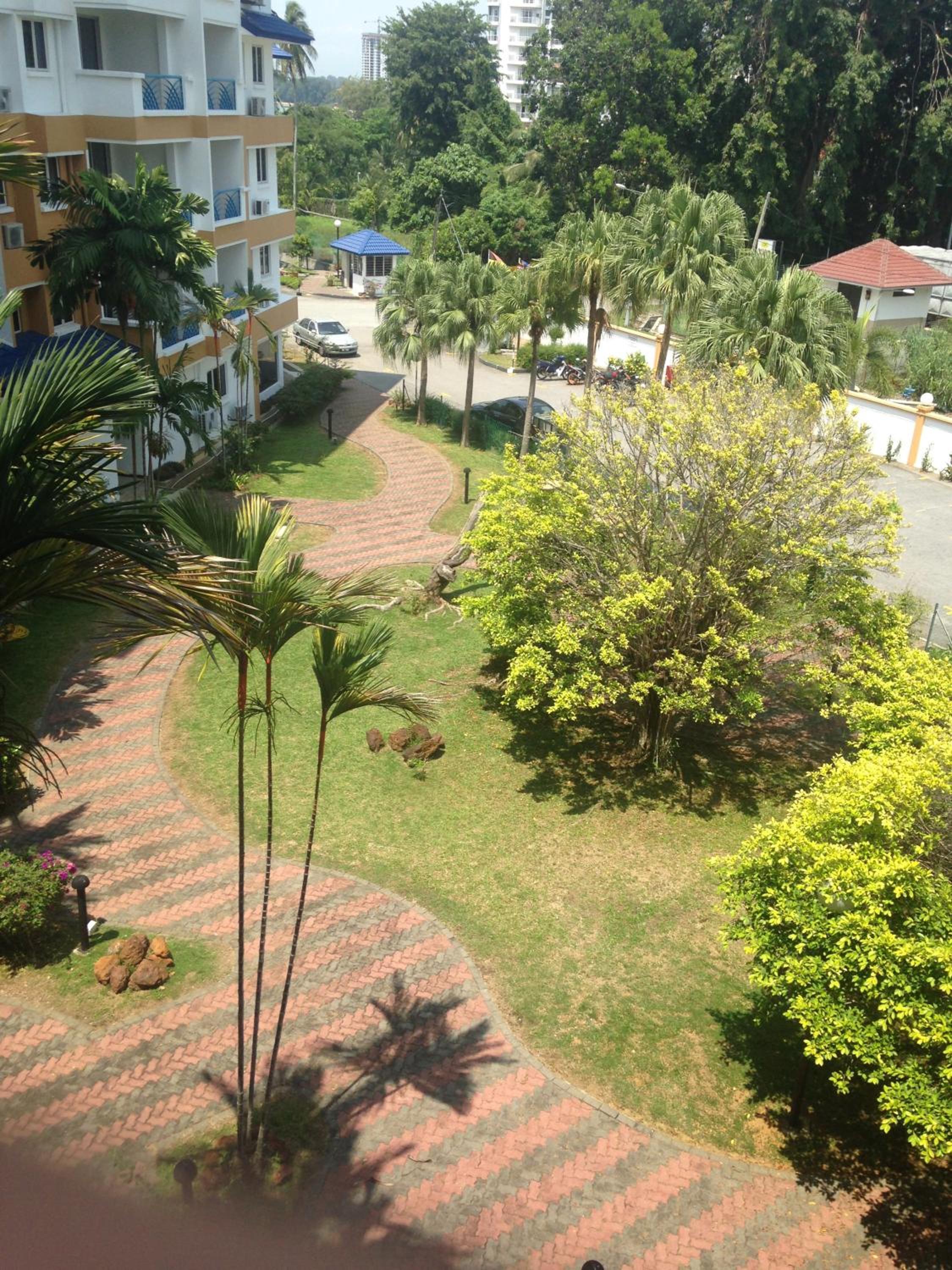 Photo 14