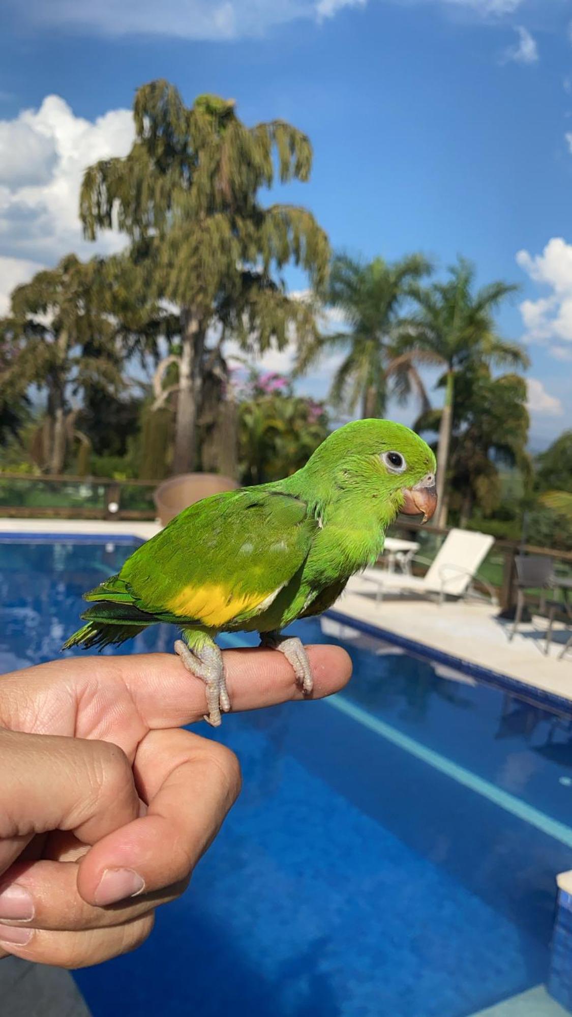 Fazenda Pedra Lisa Hotel Boutique