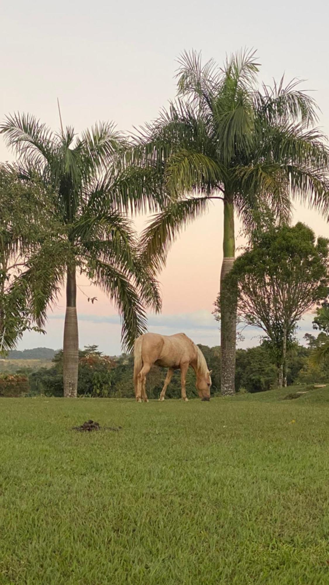 Fazenda Pedra Lisa Hotel Boutique
