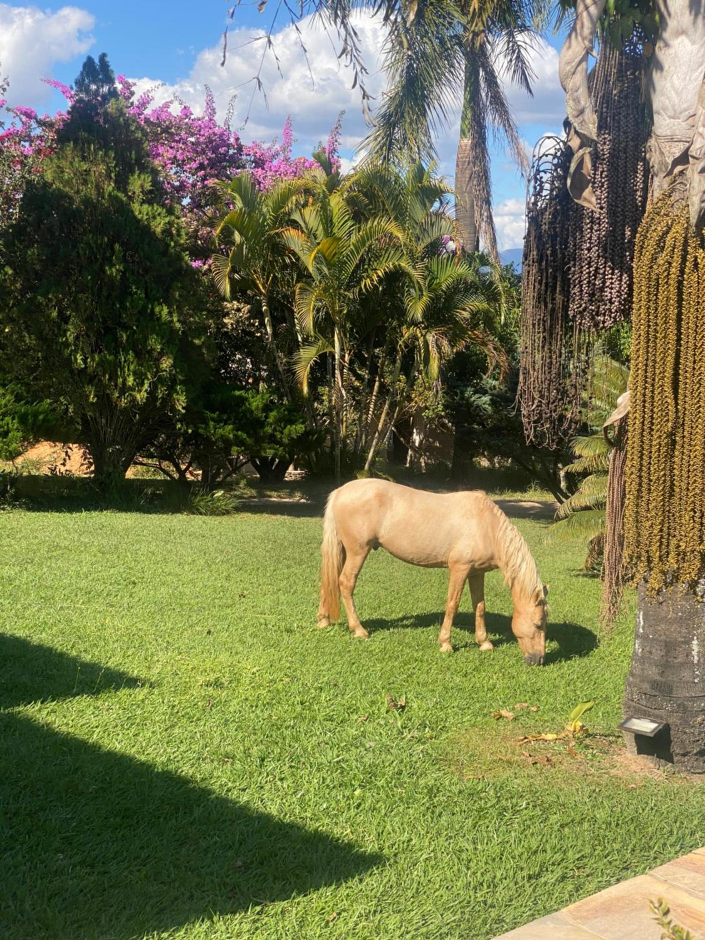 Fazenda Pedra Lisa Hotel Boutique