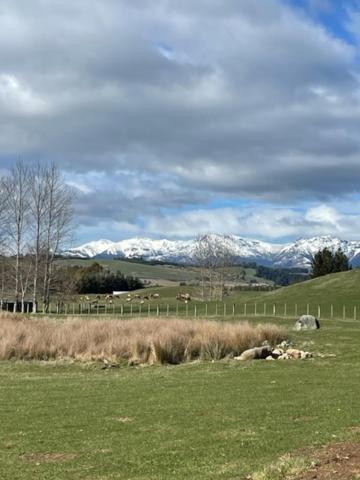 Boutique Tiny House - Te Anau Country Accommodation view 5