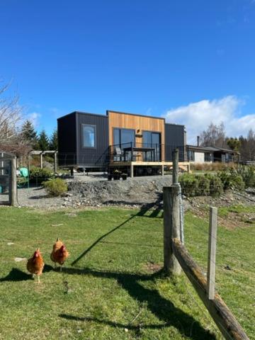 Hotel Boutique Tiny House - Te Anau Country Accommodation - Image 1