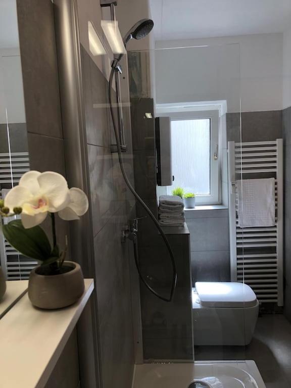 studio m - Stylish Central City Business Apartment for 5 guests