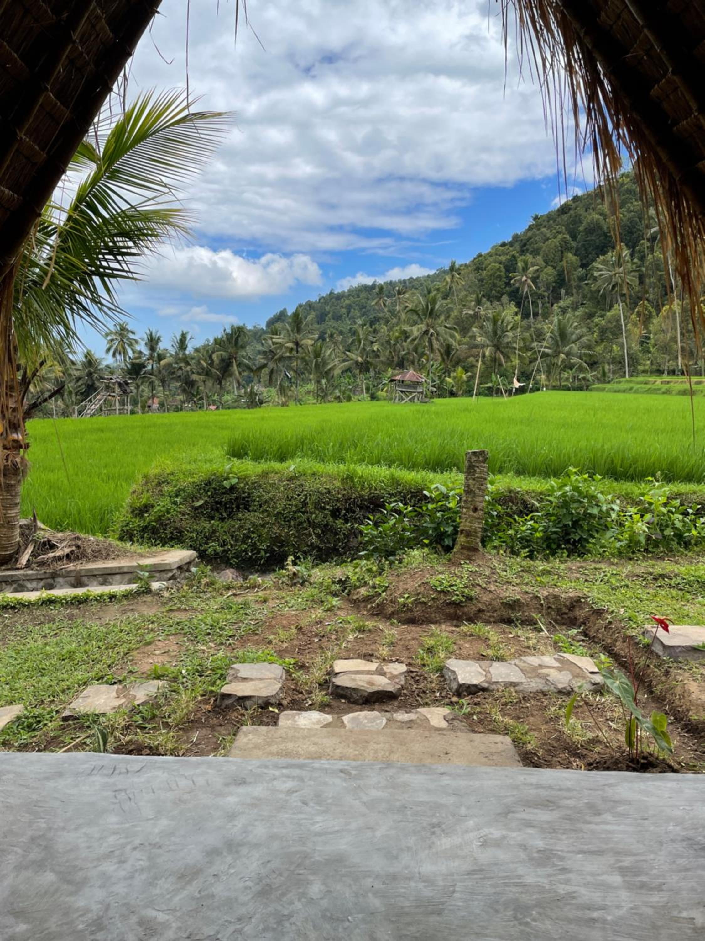 Da'kayu Glamping view 4
