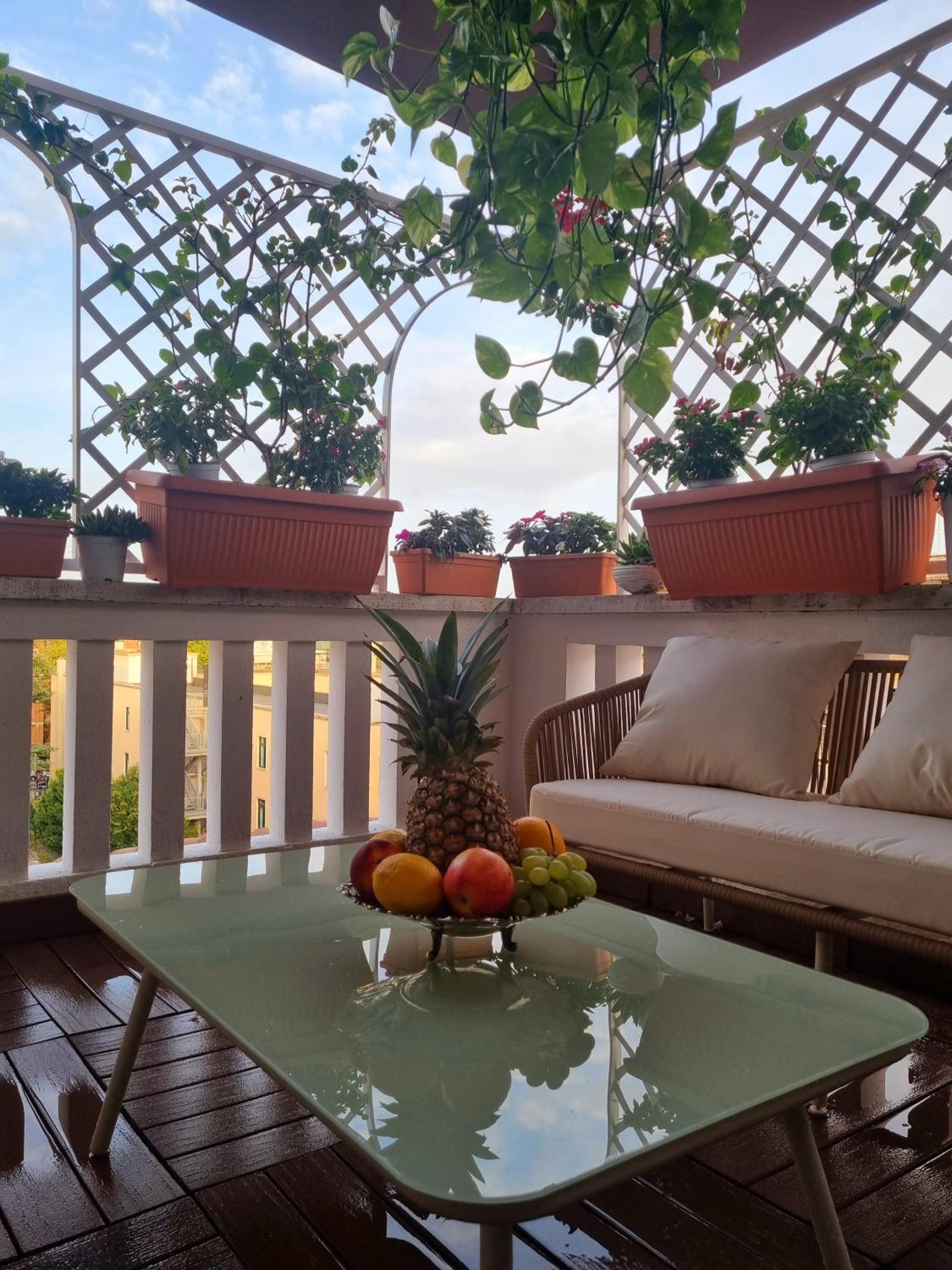 balance & terrace