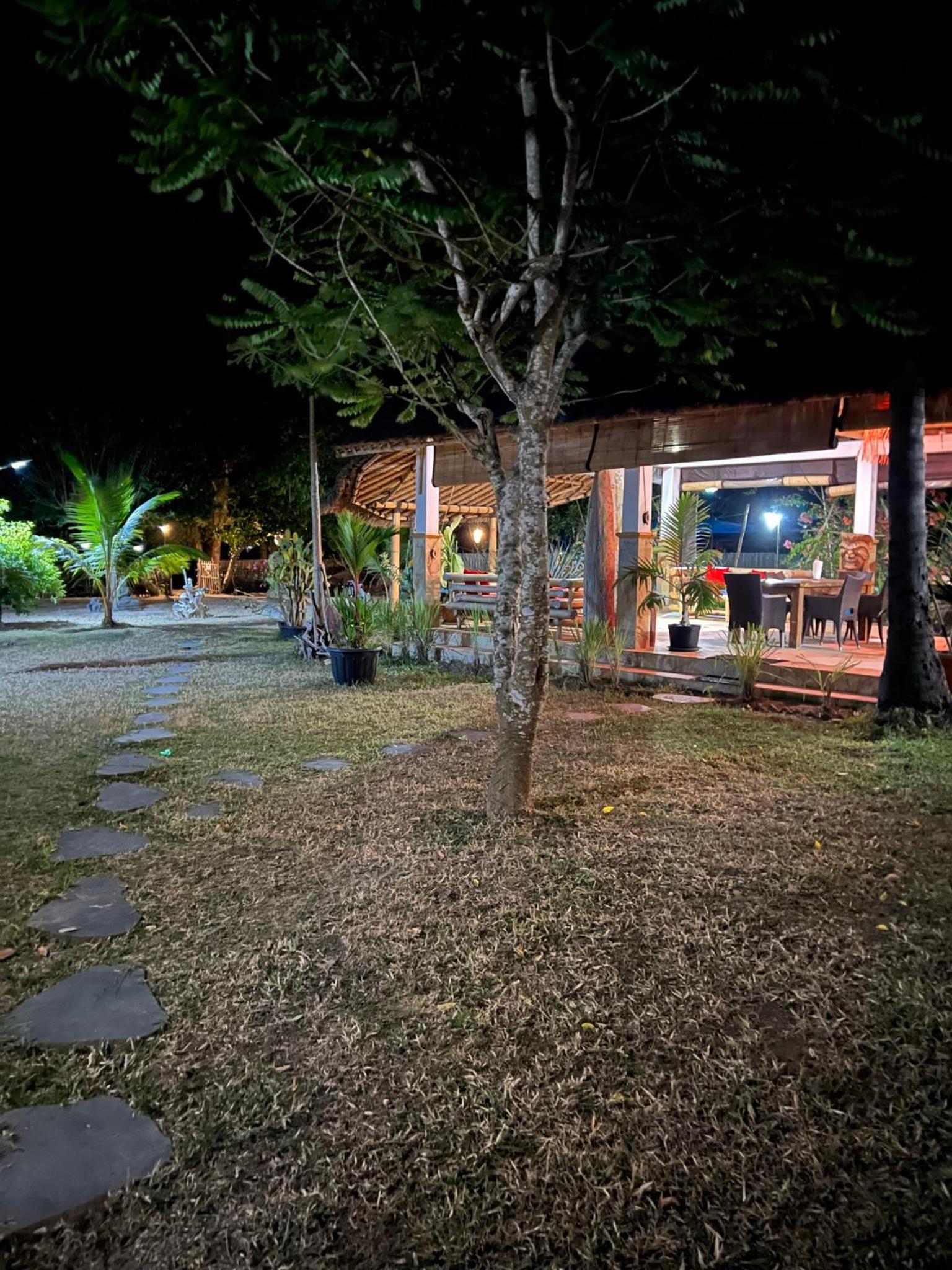 Photo 41