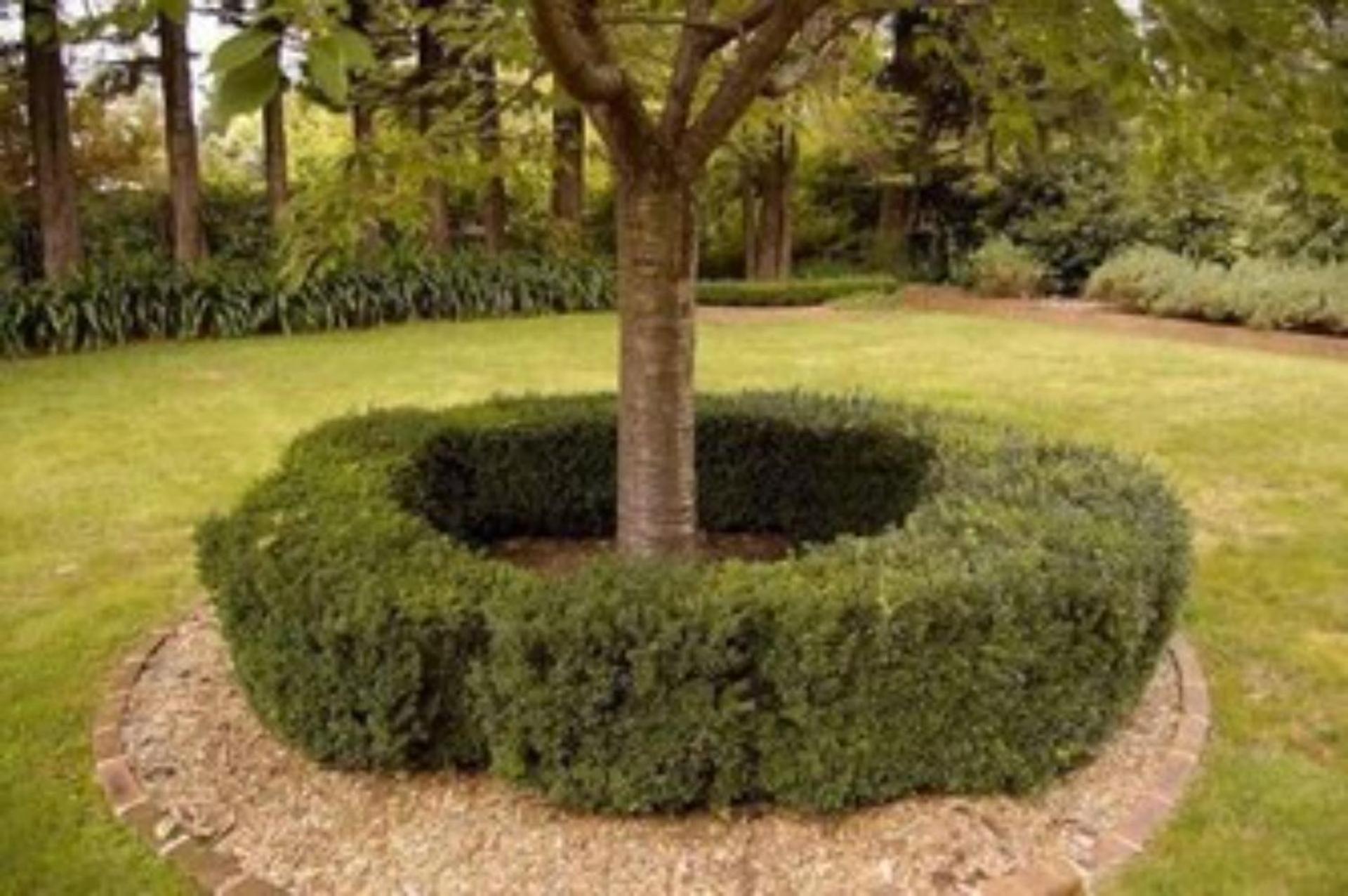 Clanalpine Retreat Leura