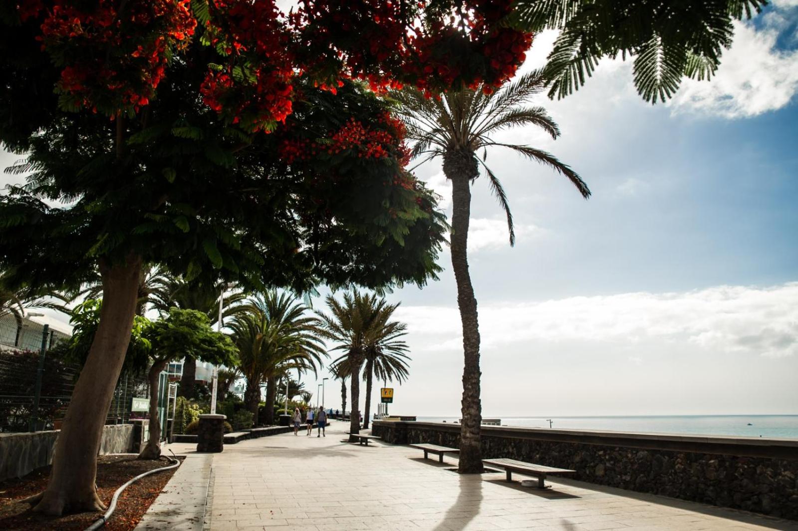 Playa del Inglés easy relax accommodation