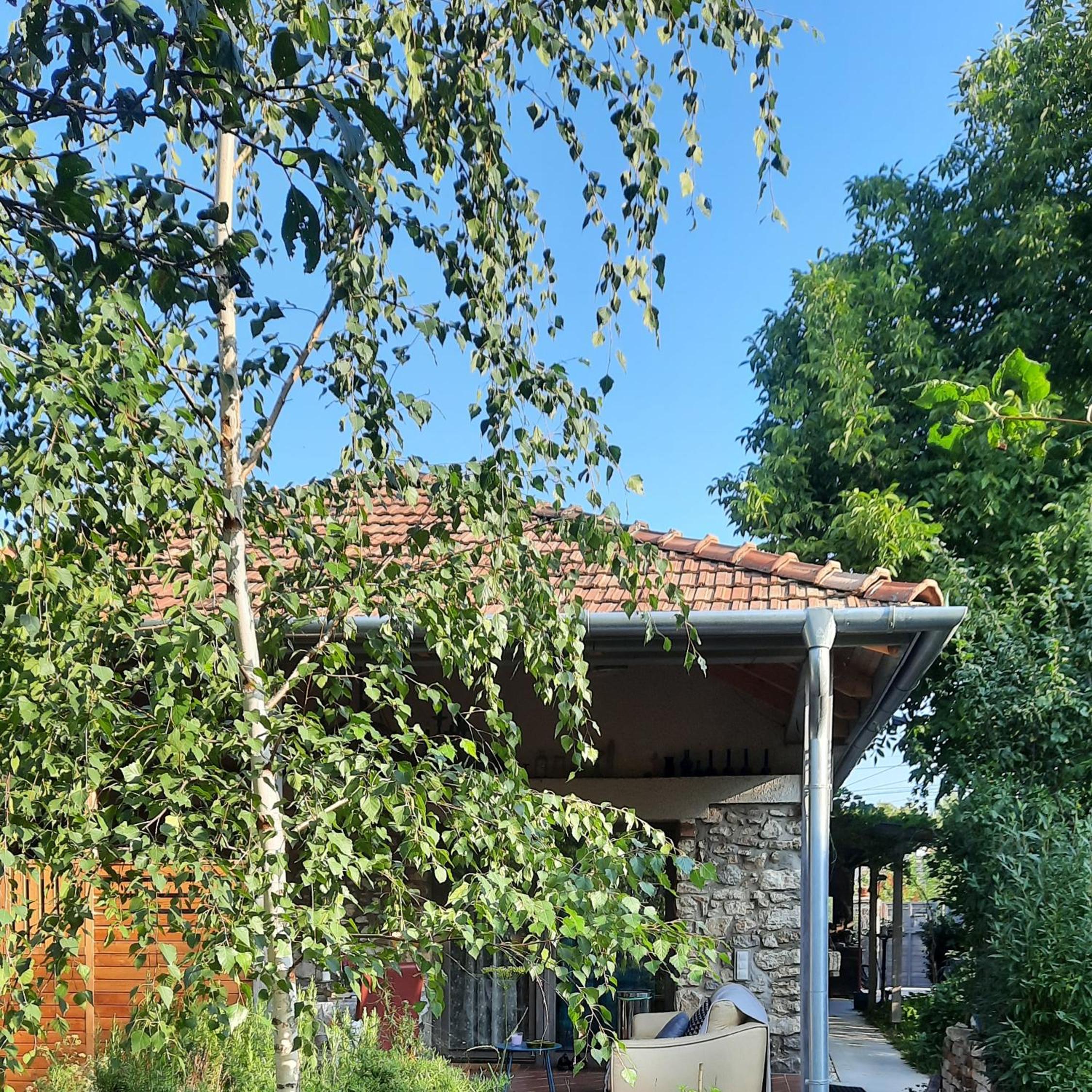 Patak Apartman, Diszel