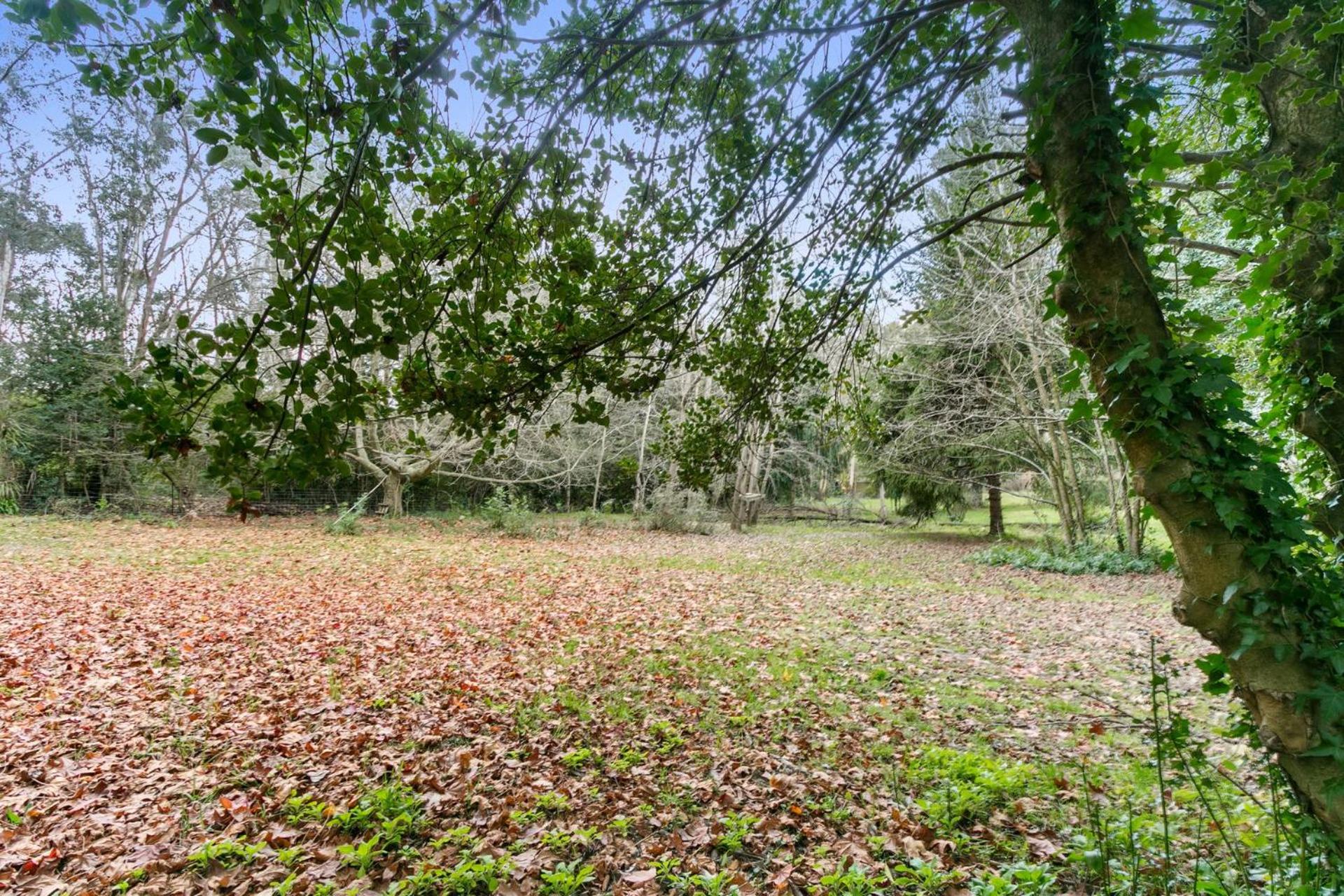 Hailsham House