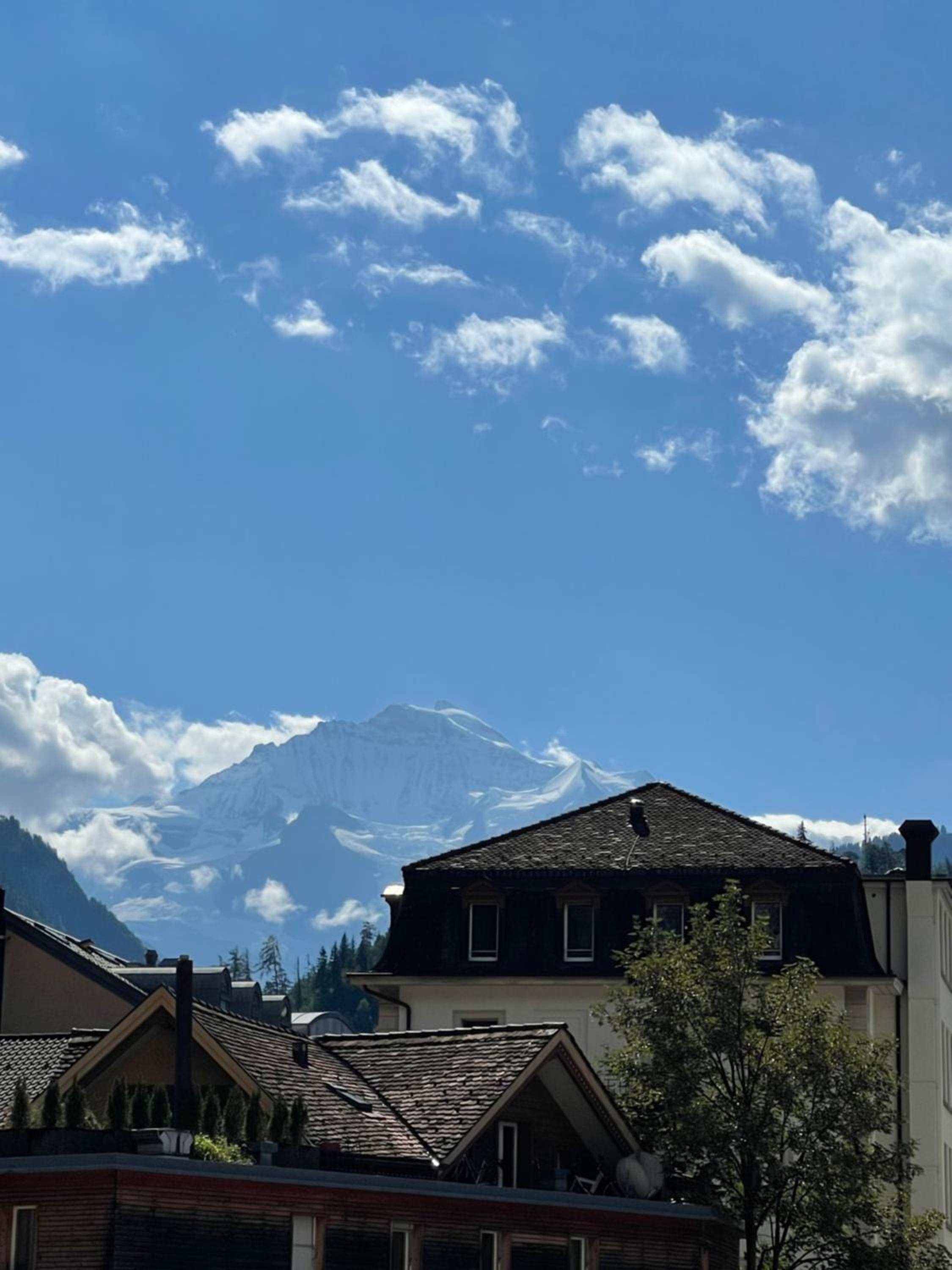 Center Appartement Interlaken