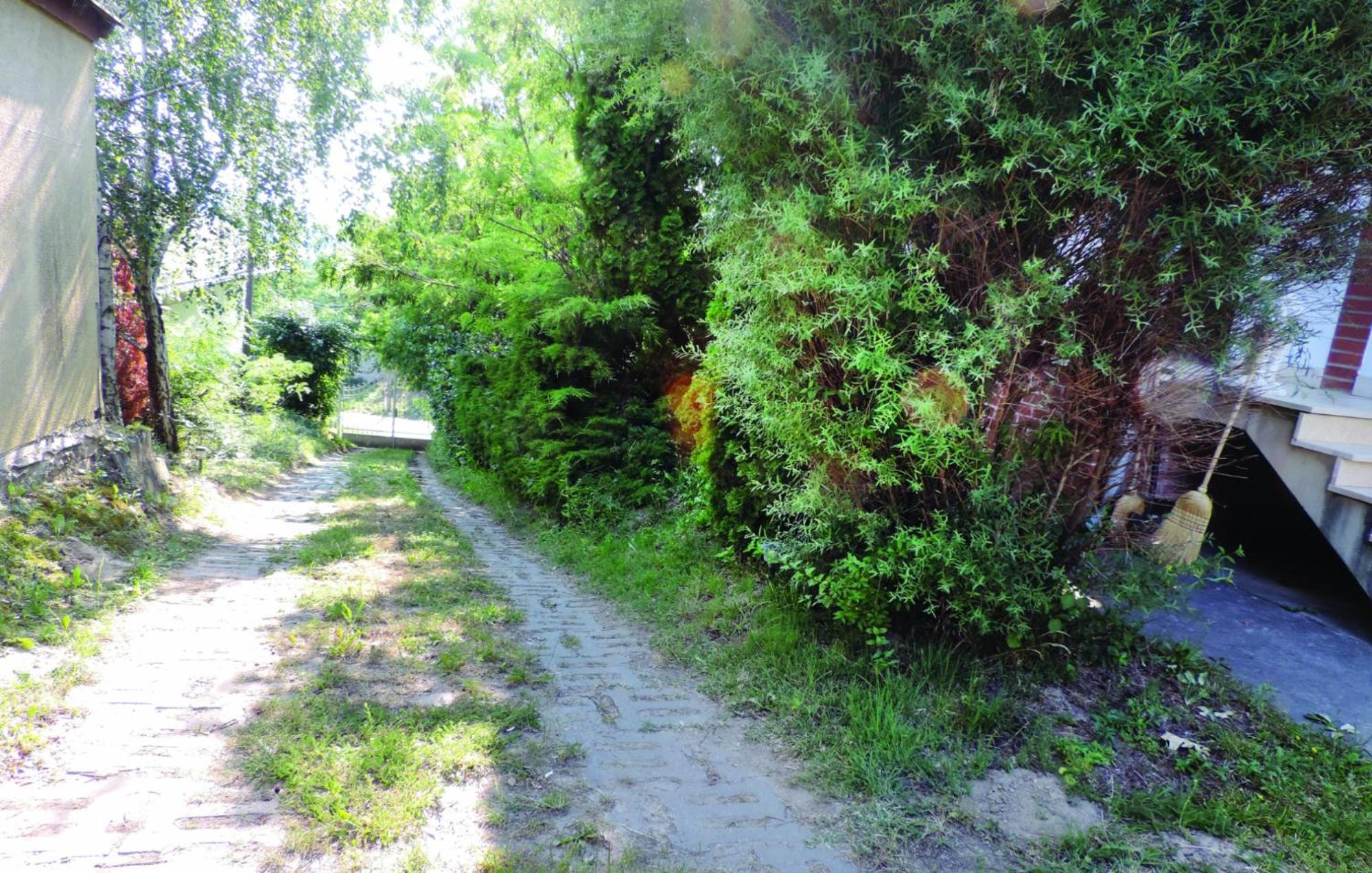 Photo 31