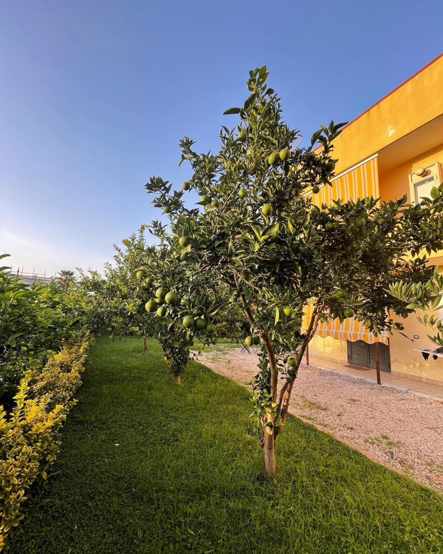 Casa Vacanze Paradise