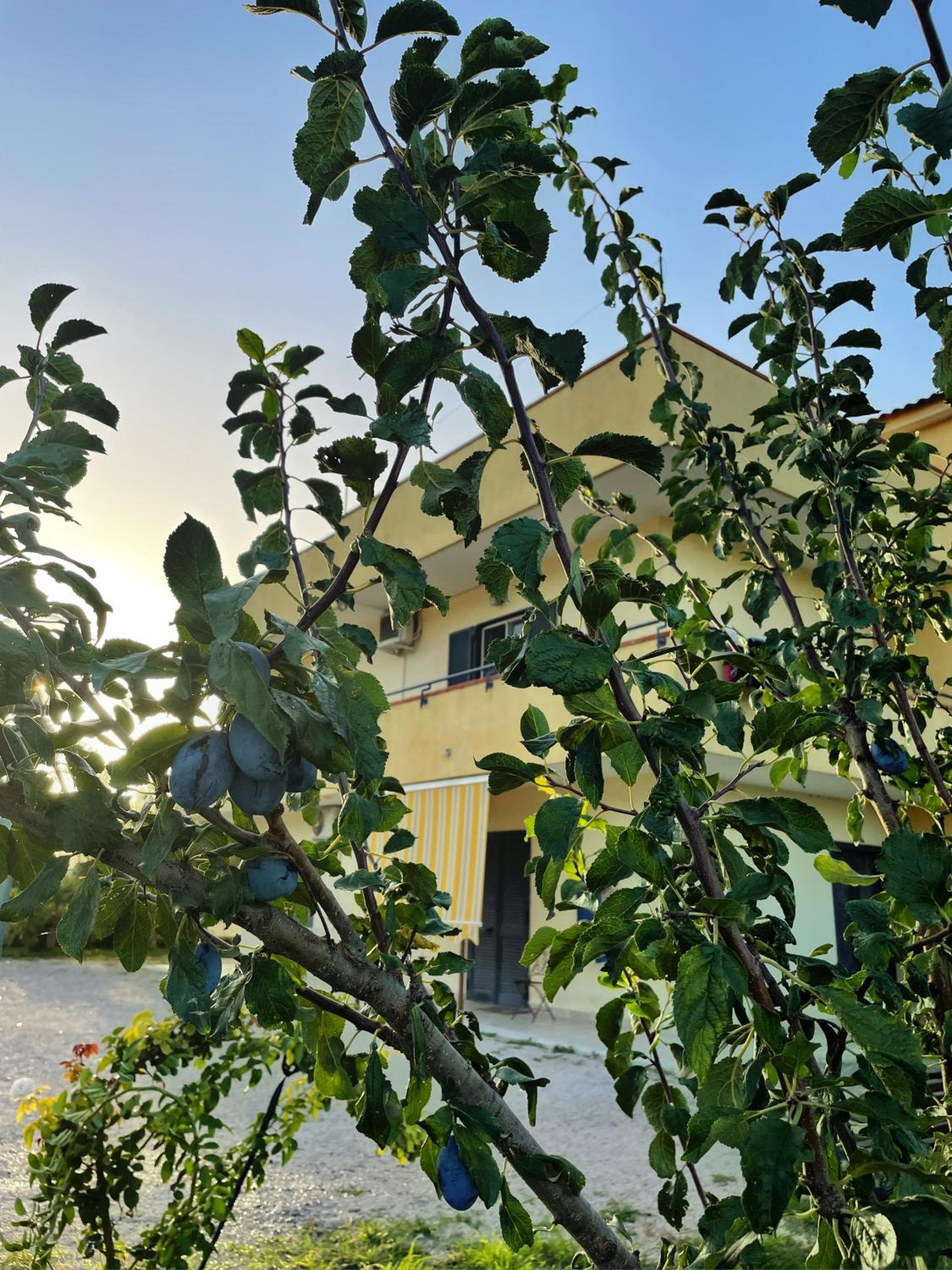 Casa Vacanze Paradise