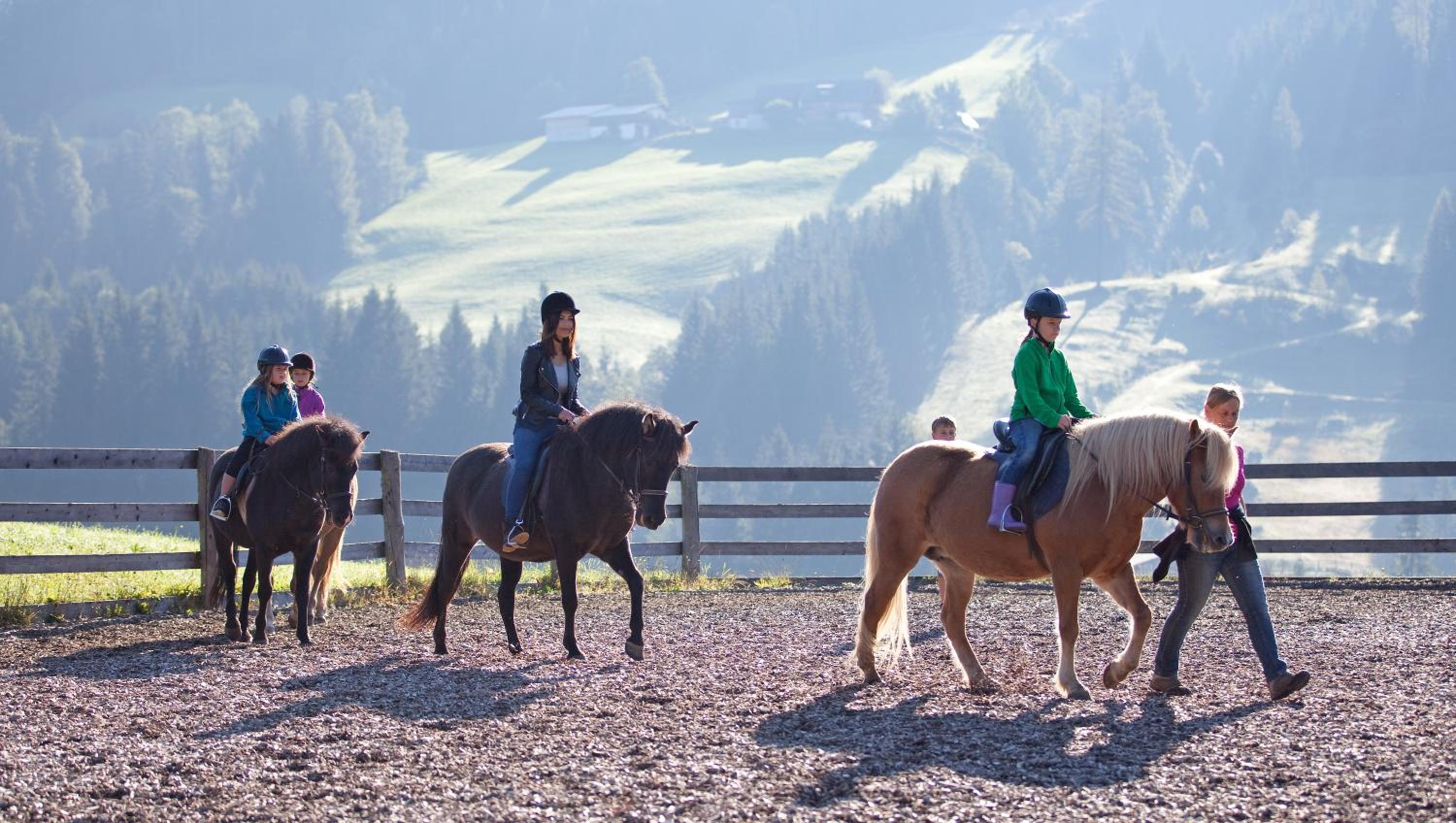 Mittersteghof,