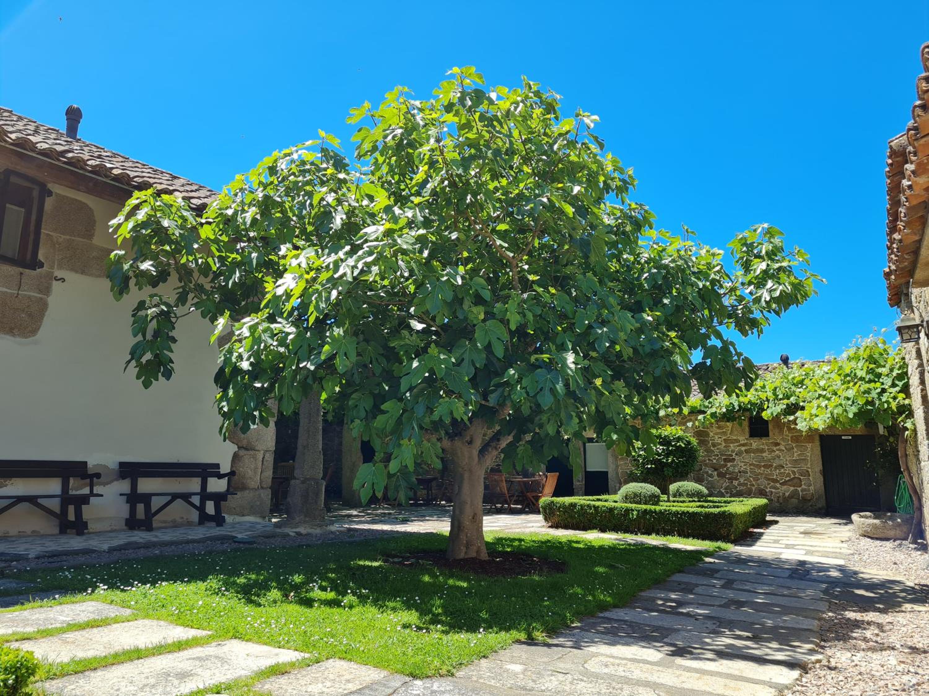 Pazo de Eidian view 5