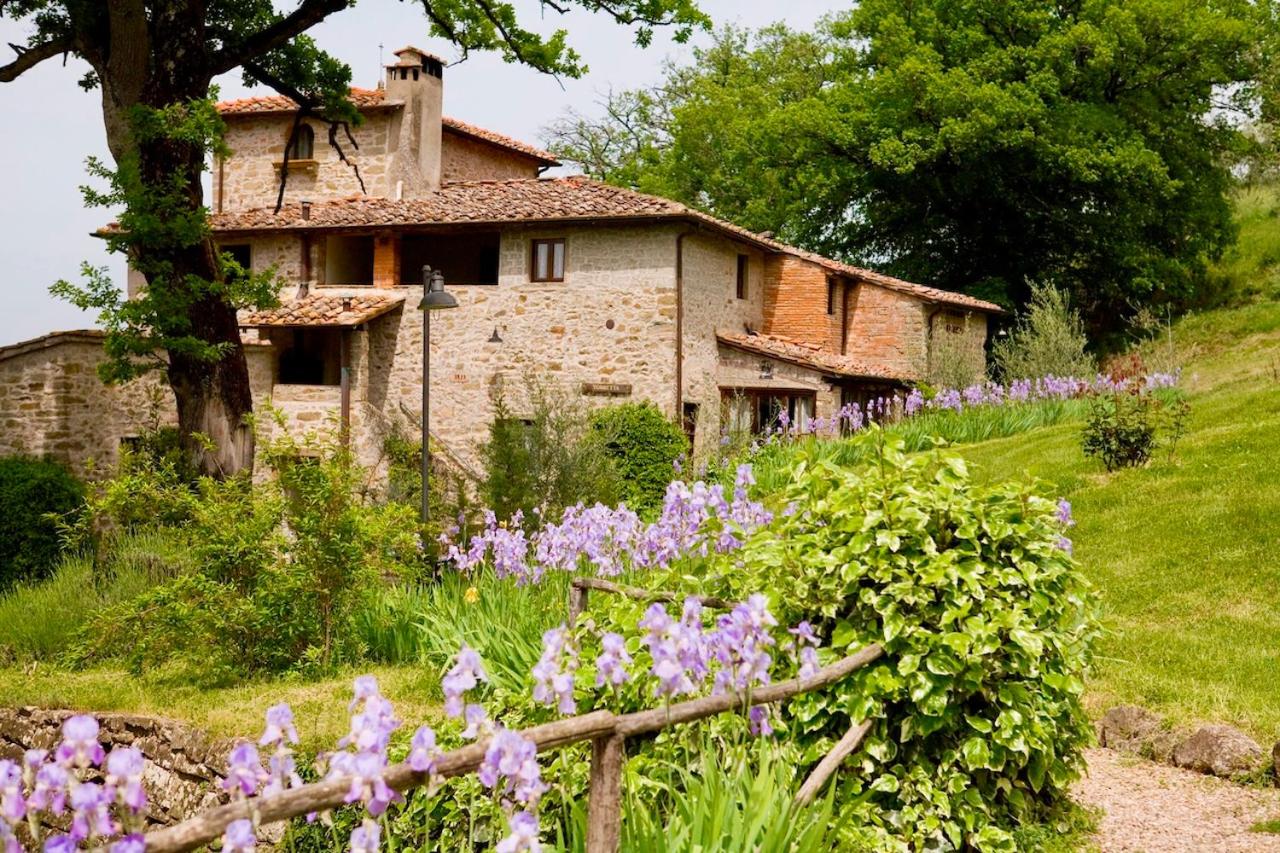 Villa Farmhouse with swimming pool in Chianti photo 3