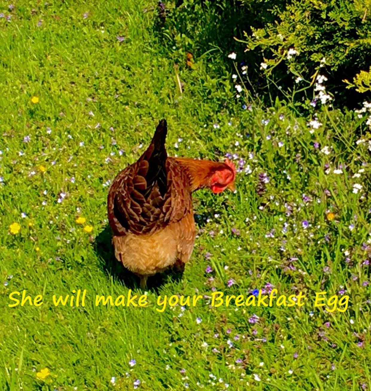 B&B Simmer