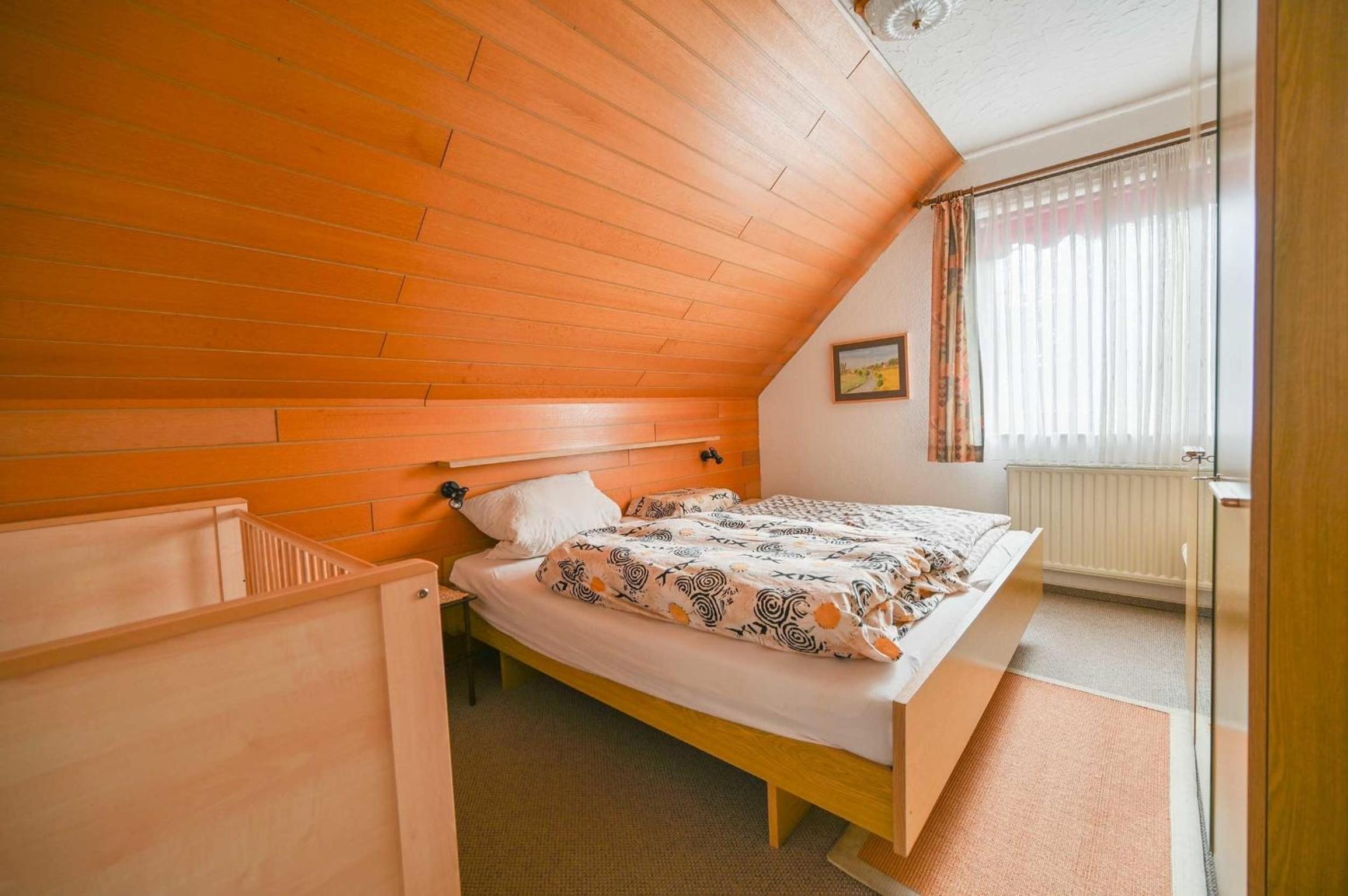Seepferdchen 4