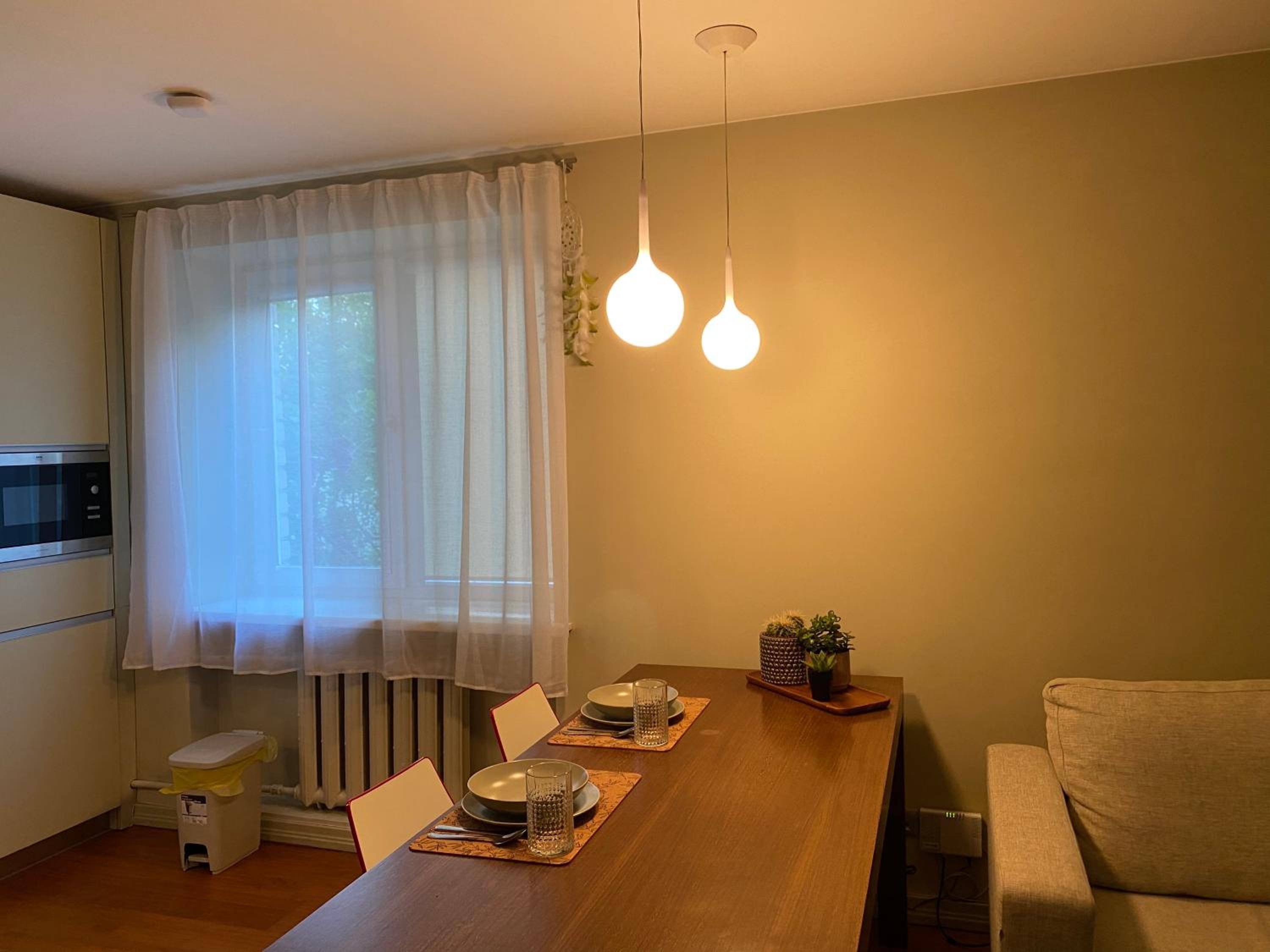 Studio apartment Ogre view 2