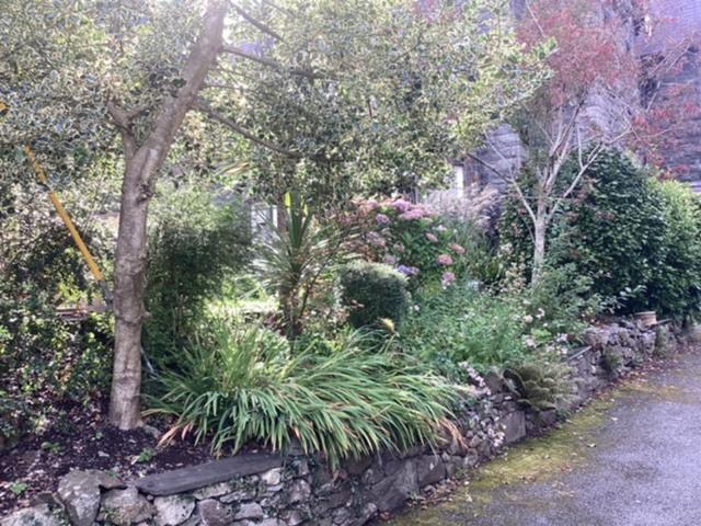 Brynffynnon Boutique Bed and Breakfast view 2