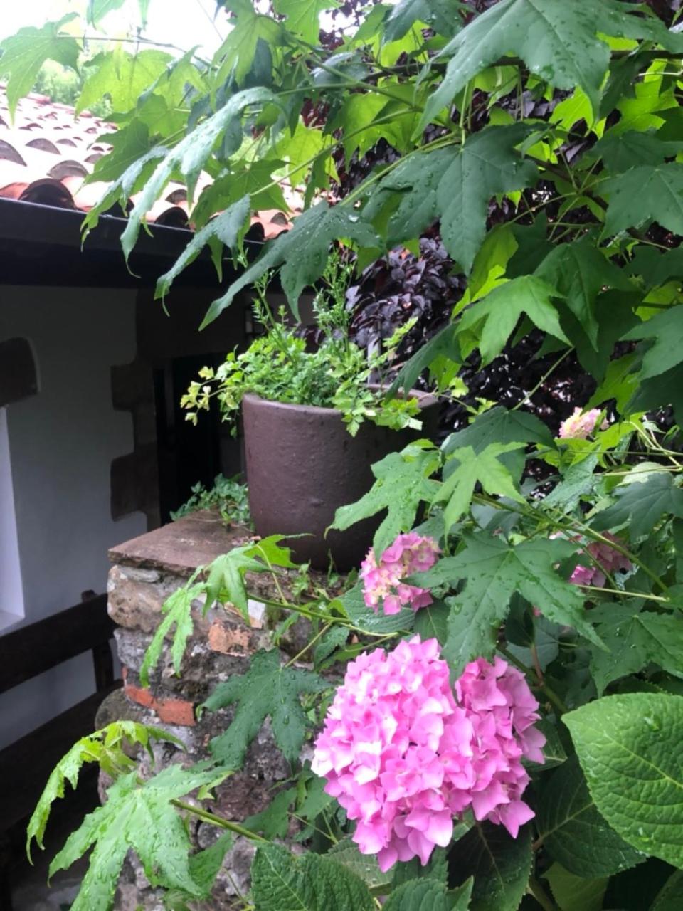 HdeC Hosteria de Castañeda Alojamiento Turistico