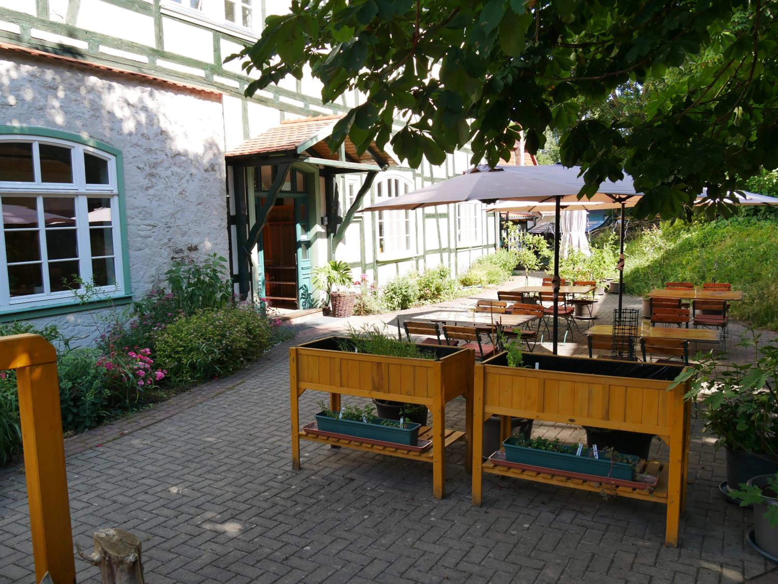 Photo 12