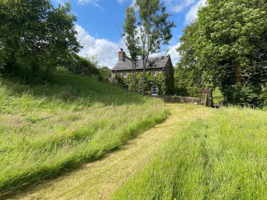 A magical hideaway overlooking the river Boyne view 2