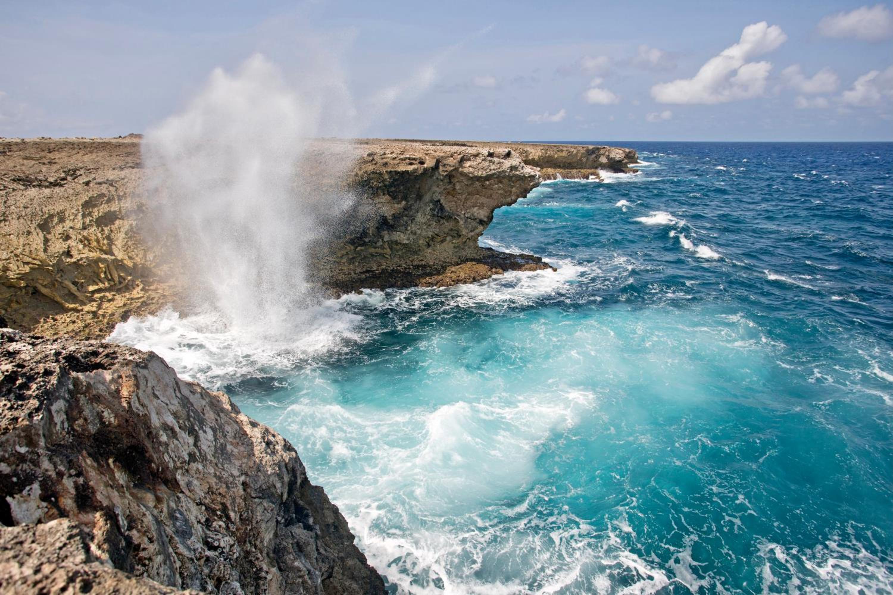 Delfins Beach Resort Bonaire, Tapestry Collection by Hilton