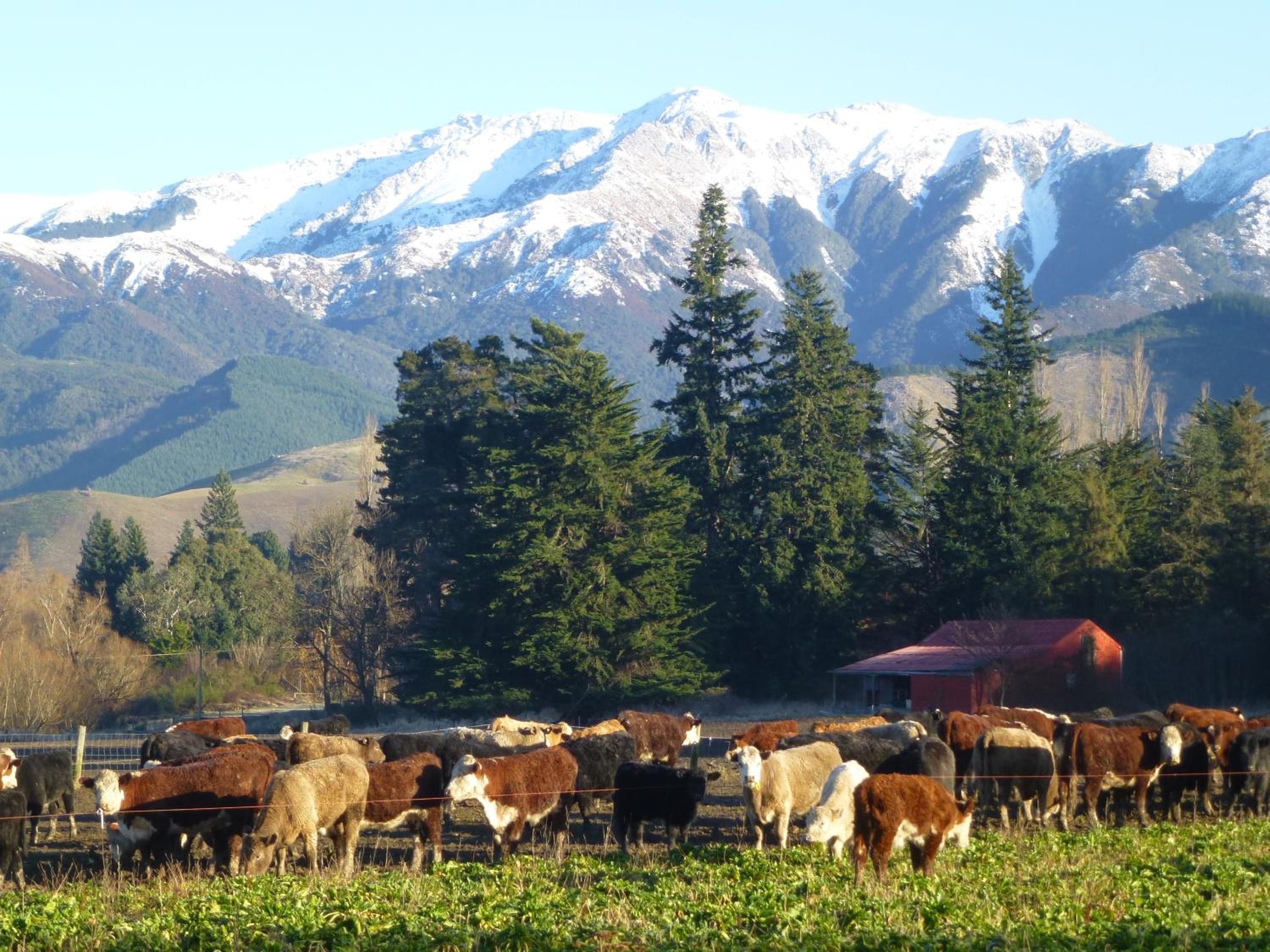 Hanmer Springs Scenic Views Motel