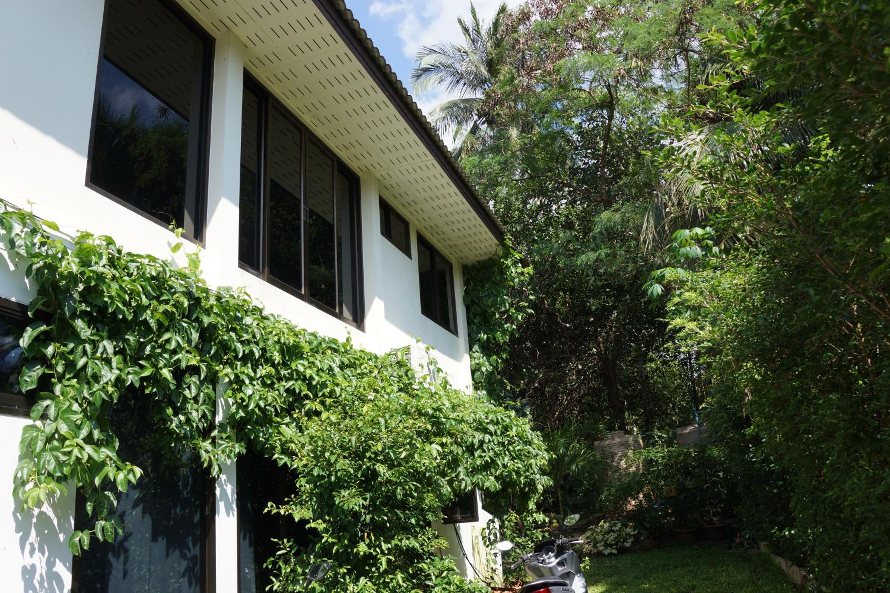 Photo 43