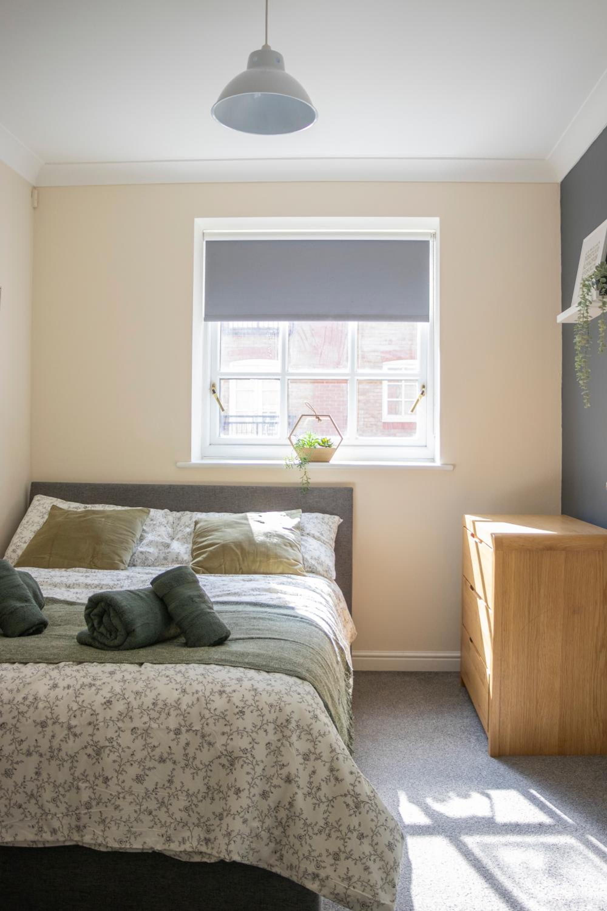 Lovely 3-bedroom apartment in Colchester view 5
