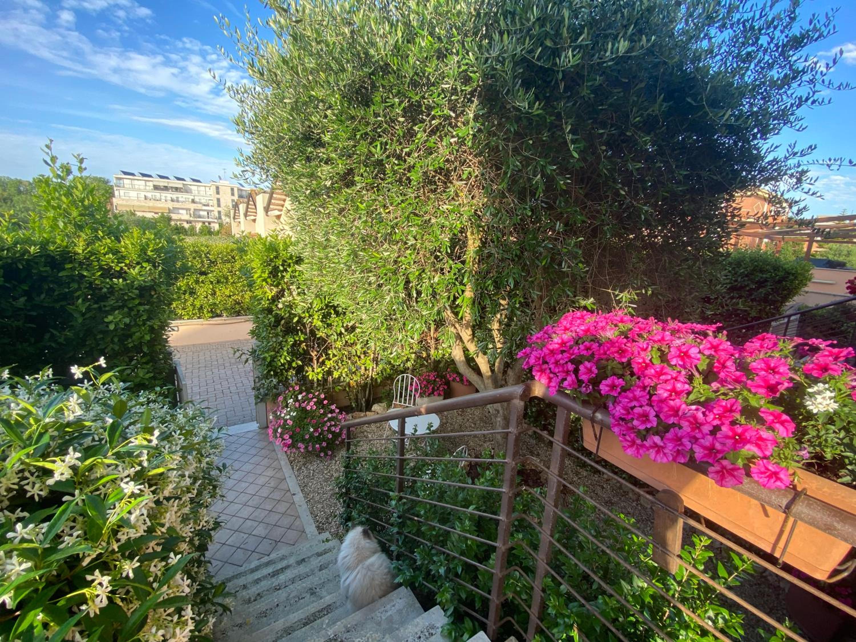 B&B L'Ulivo Fiumicino photo 3