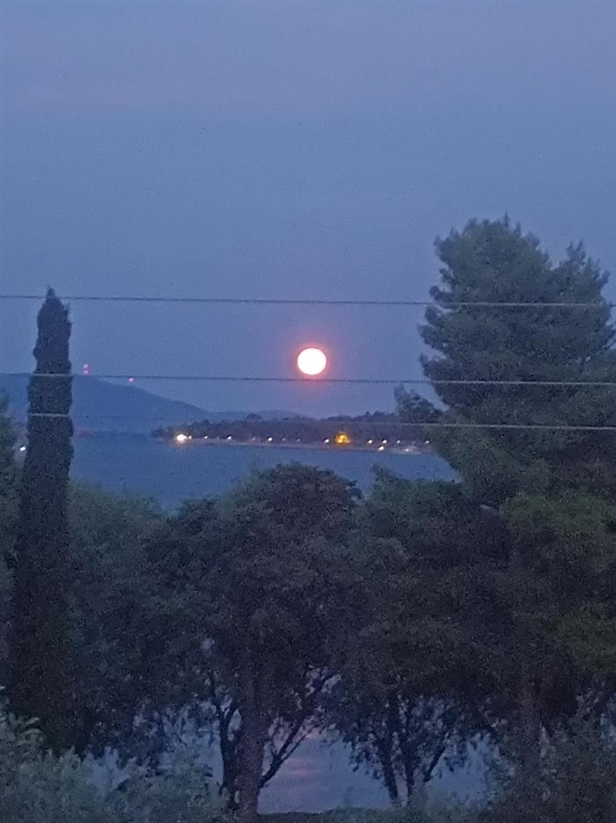 Villa Galaxidi photo 3