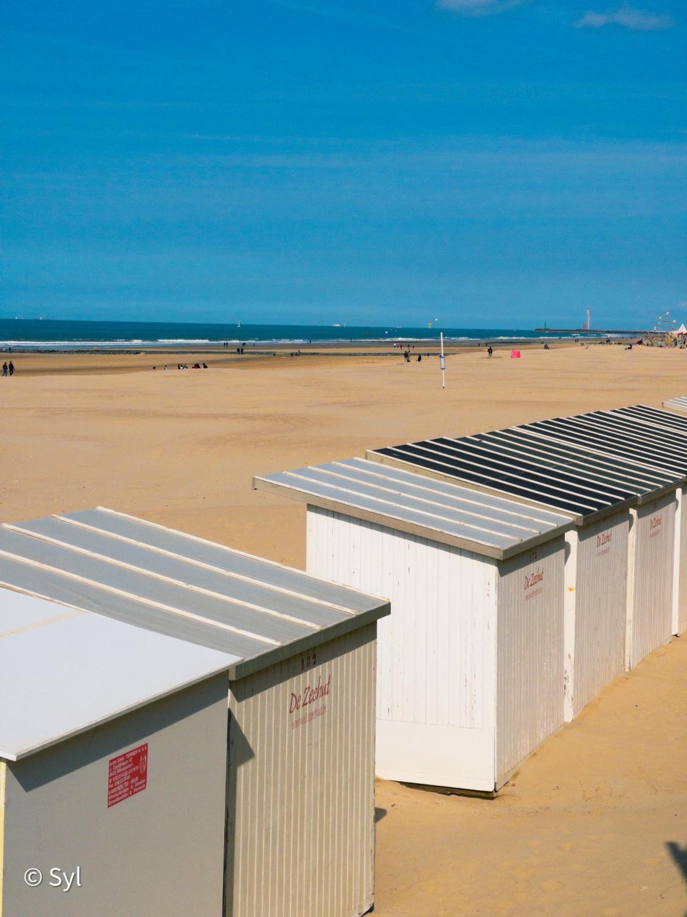 Be at Sea in Ostend all-in luxury apartment , outdoor pool, side seaview