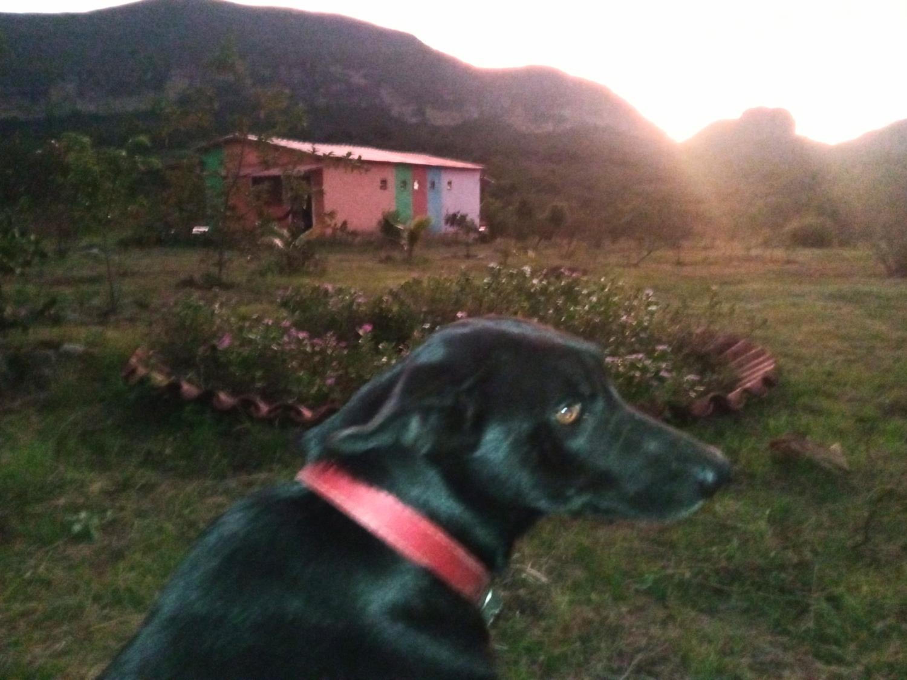 Photo 40