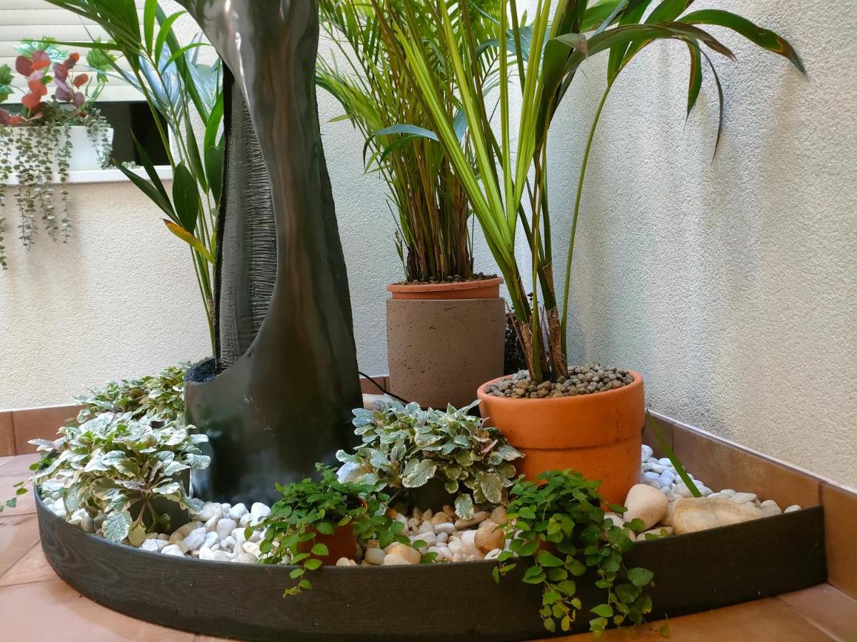 Apartamento Ravachol Pontevedra ciudad photo 5