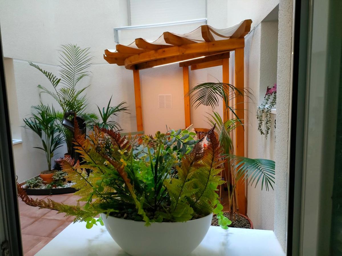 Apartamento Ravachol Pontevedra ciudad photo 4