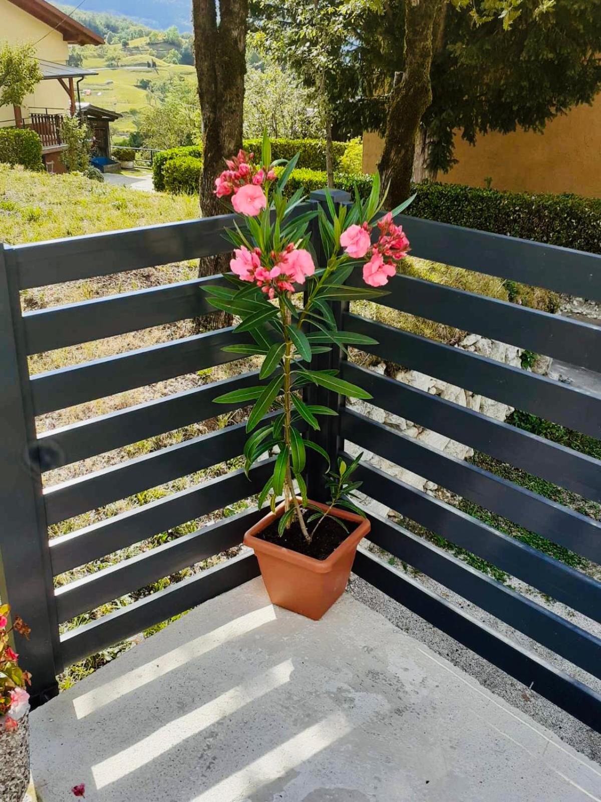 Apartma Pep view 5