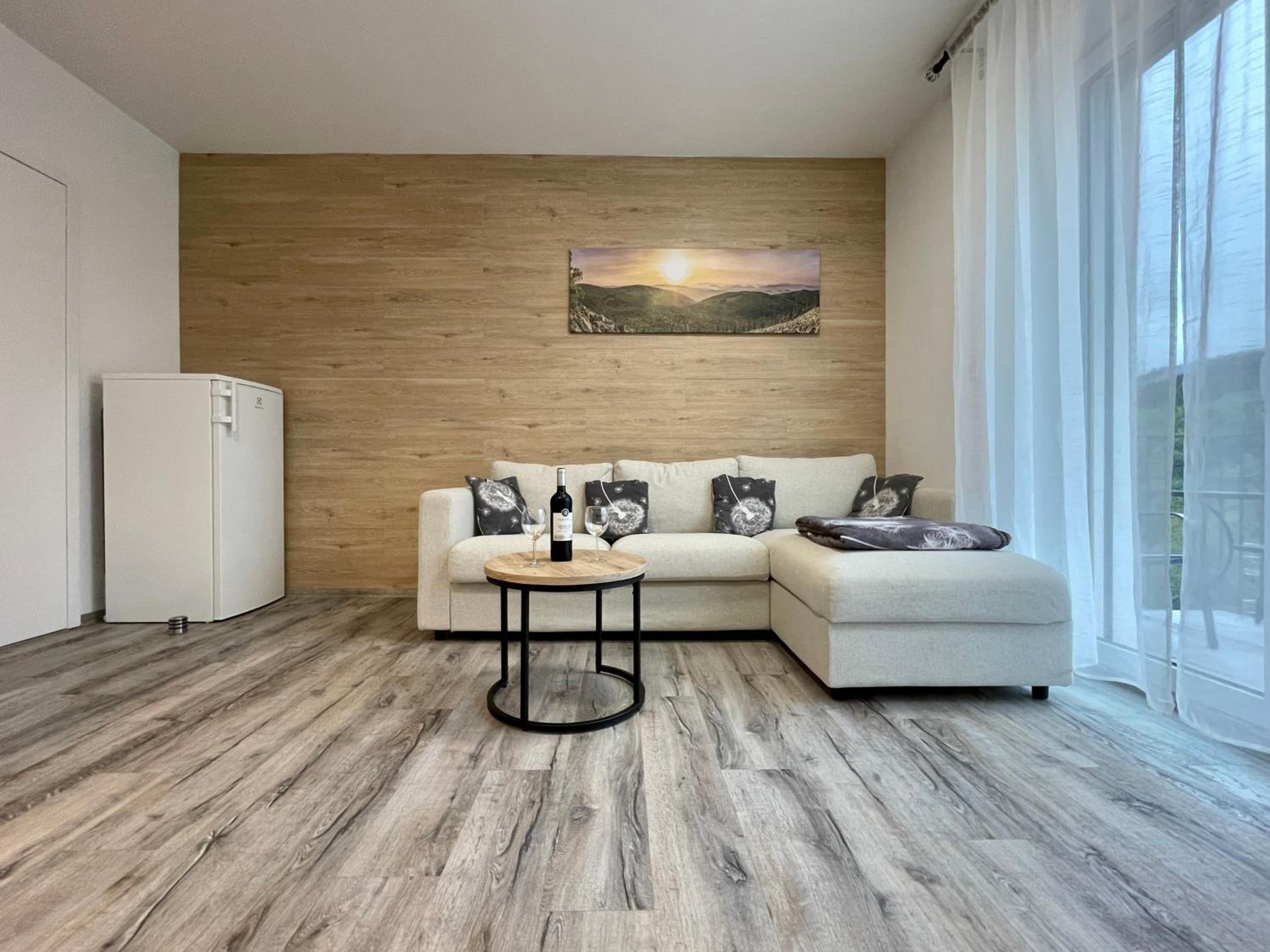 Apartmán Pod Sněžníkem
