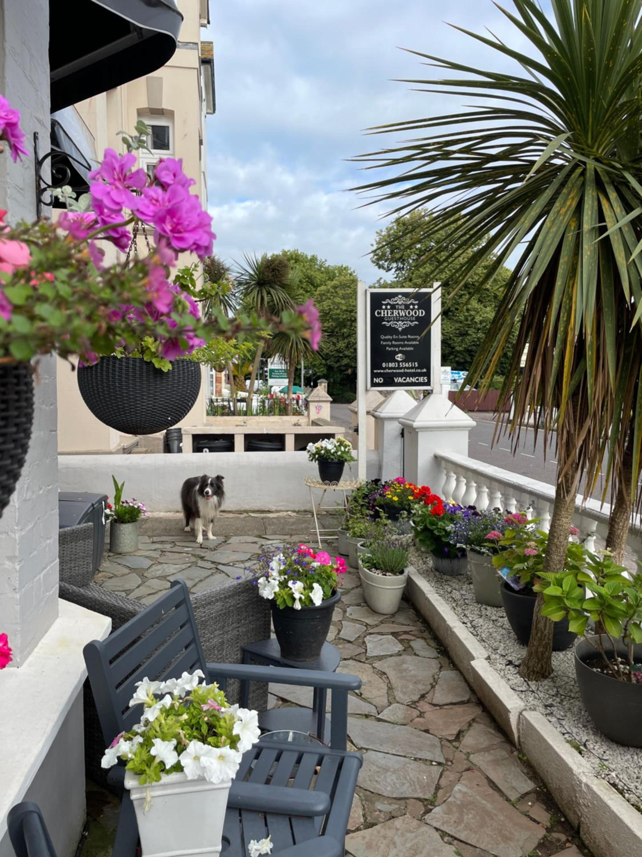 Cherwood Guest House