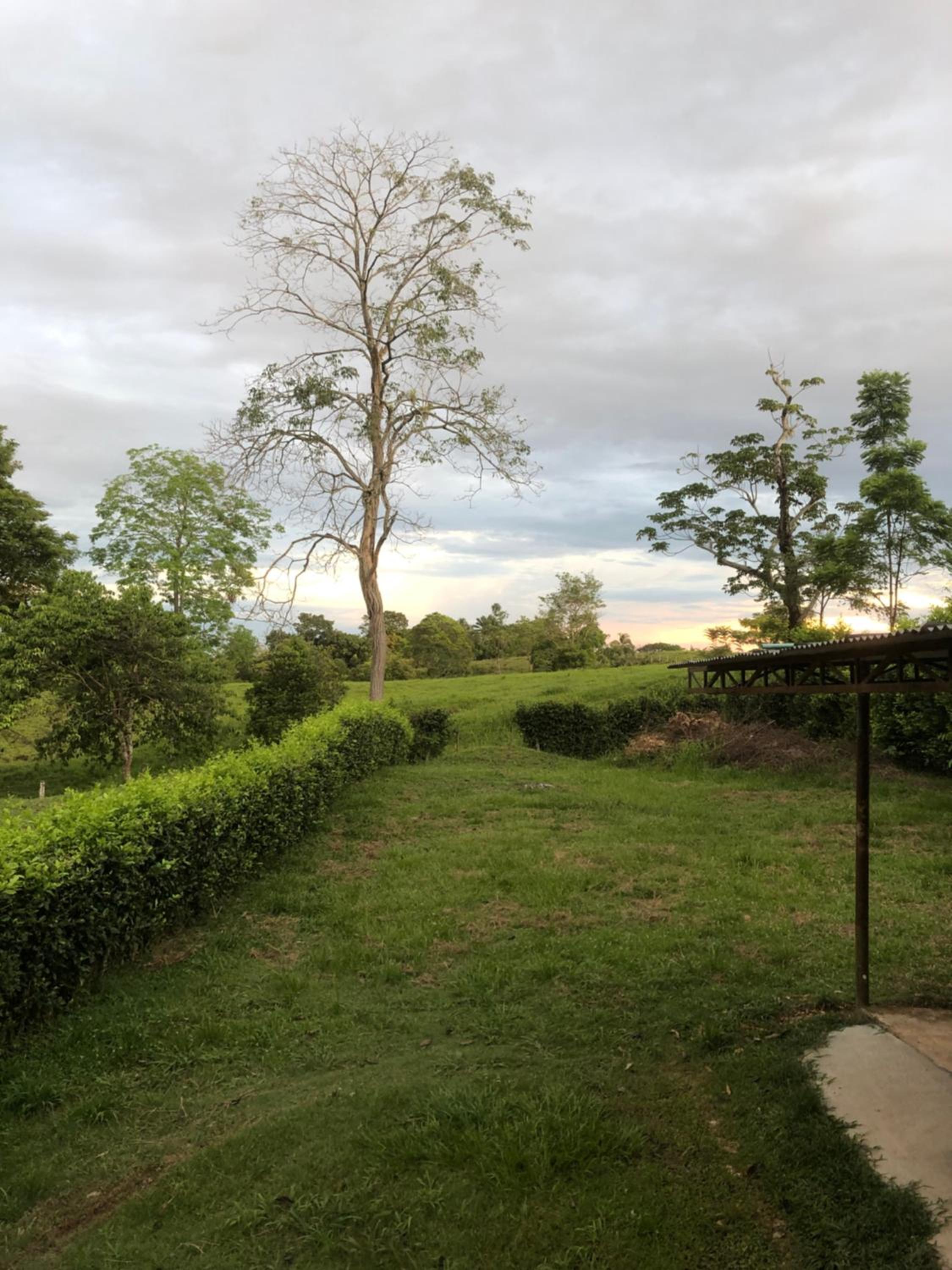 CASA EN DORADAL