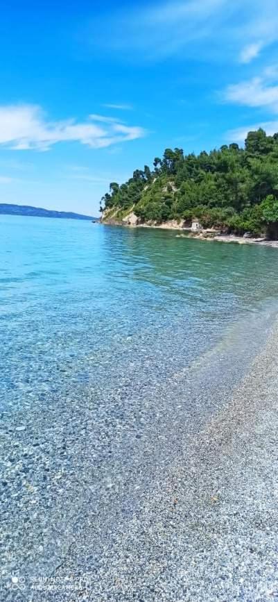 Villa Freedom - Koutsoubri Beach Evia view 2