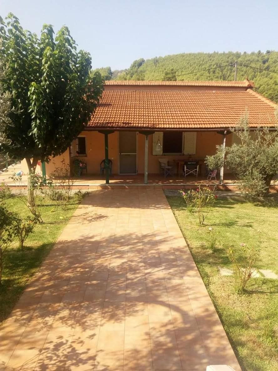 Villa Freedom - Koutsoubri Beach Evia view 3