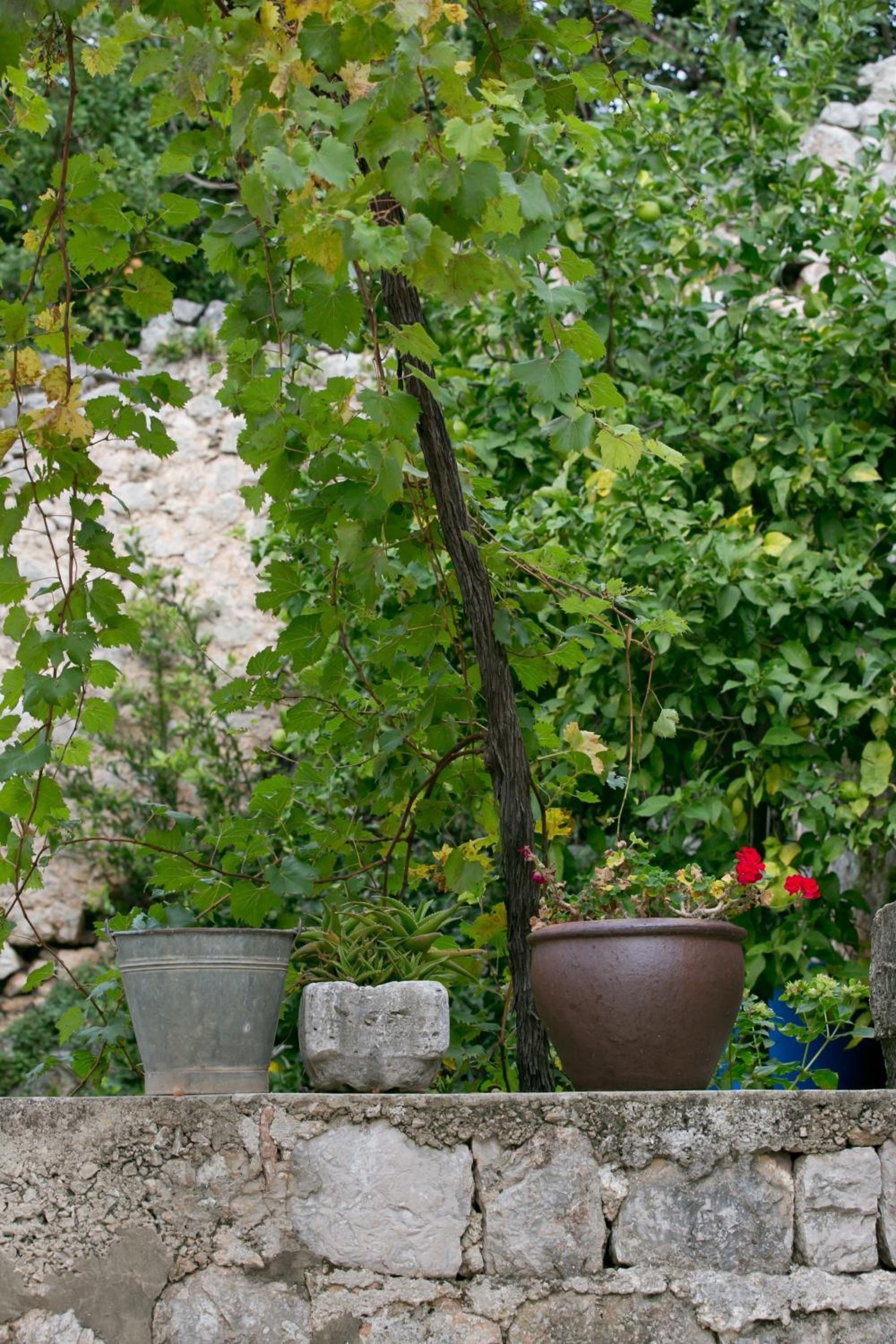 Villa Bona Dubrovnik