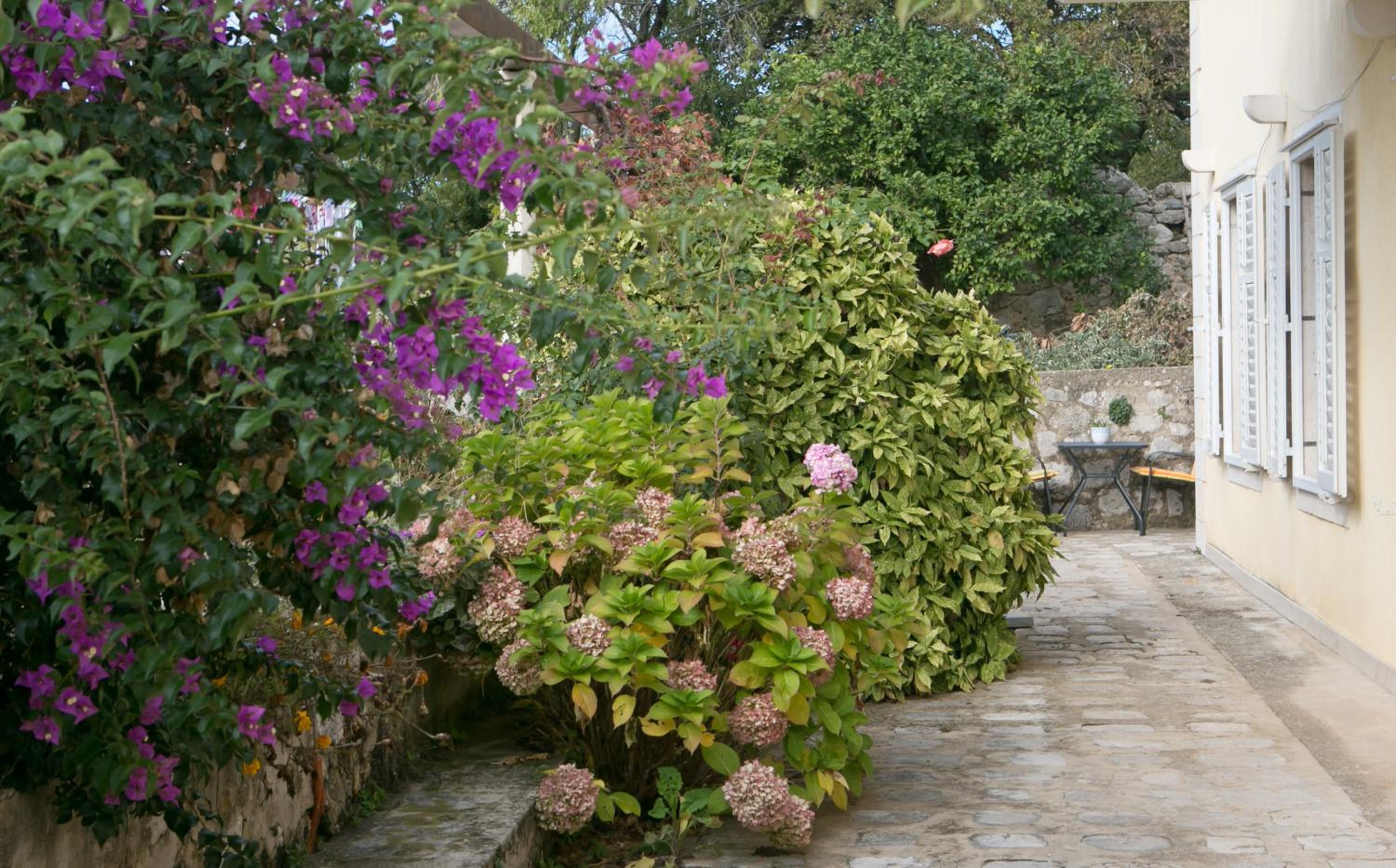 Villa Bona Dubrovnik