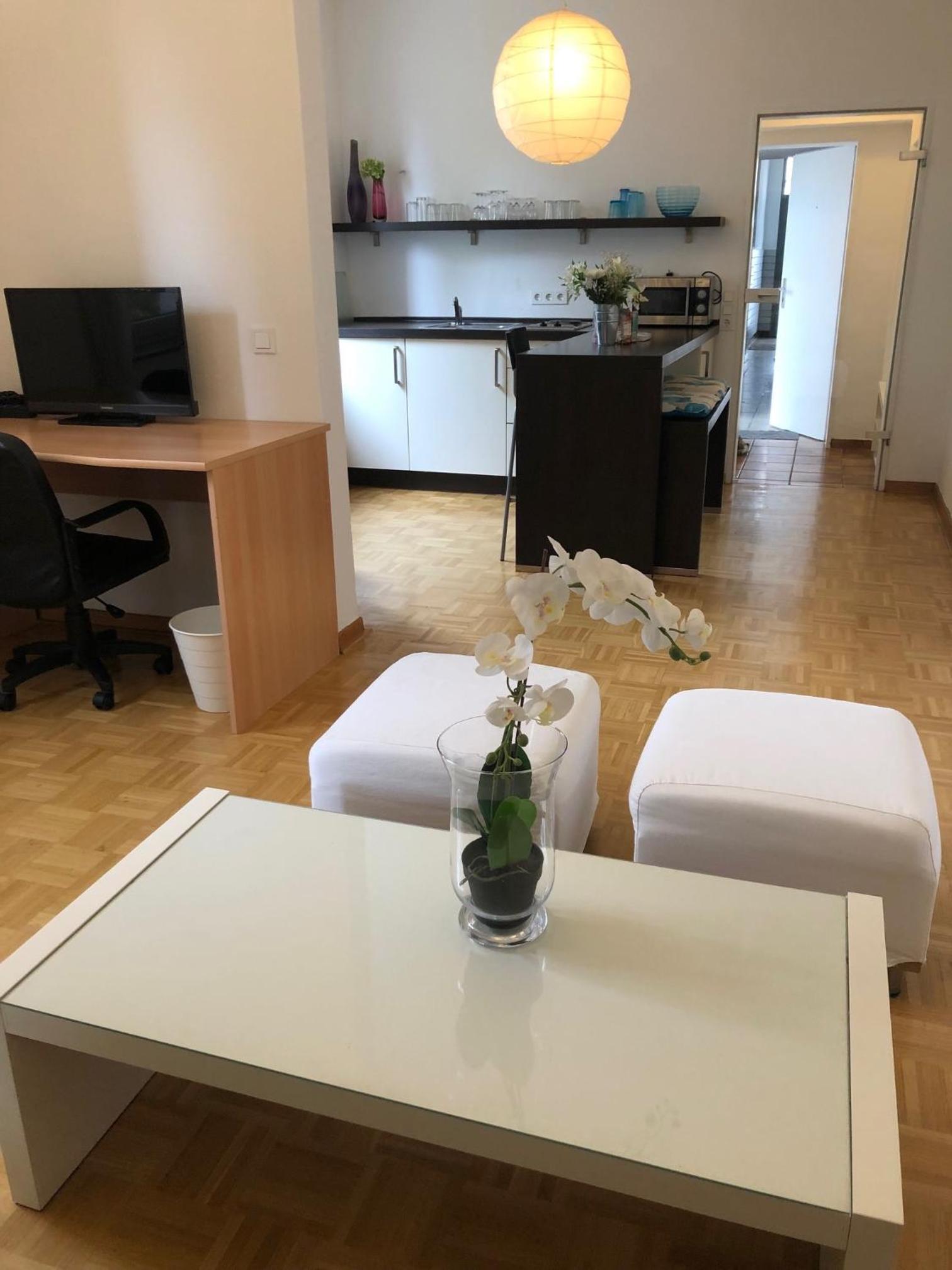 studio b - Sunny City Business Apartment with roof-top terrace for 2-4 guests